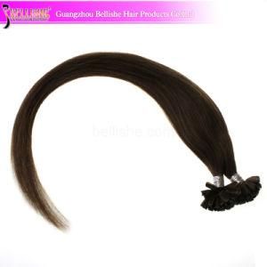 Top 6A Grade Prebonded Hair Extension U Tip/Nail Hair Keratin Hair