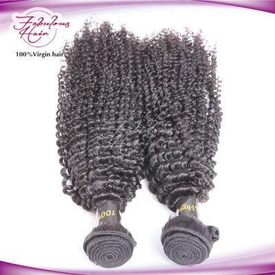 Afro Kinky Remy Hair Extension Hair Weaving Human Hair Weft
