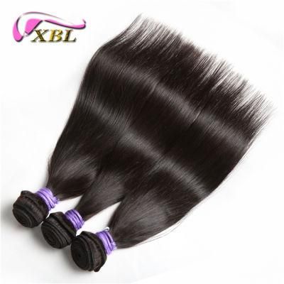 8A Grade 100% Raw Unprocessed Brazillian Virgin Hair