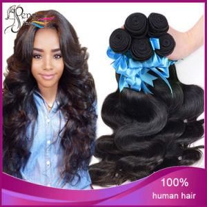 Wholsale Price 100% Virgin Hair Body Wave Human Hair