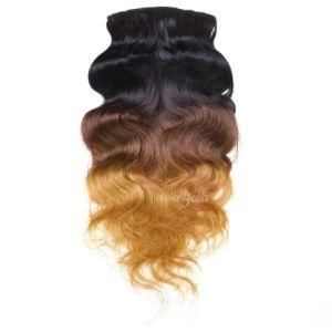 European Ombre Body Wave T1b/4/27 Clip-in 100% Human Hair