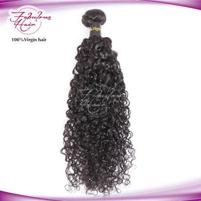 Biggest Supplier 7A Virgin Brazilian Curly Hair Extension Human Hair