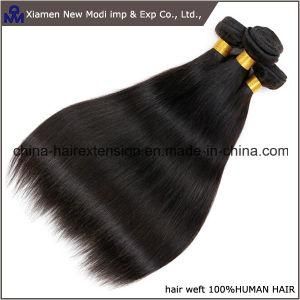 Indian Hair Extension Remy Human Hair Weaving