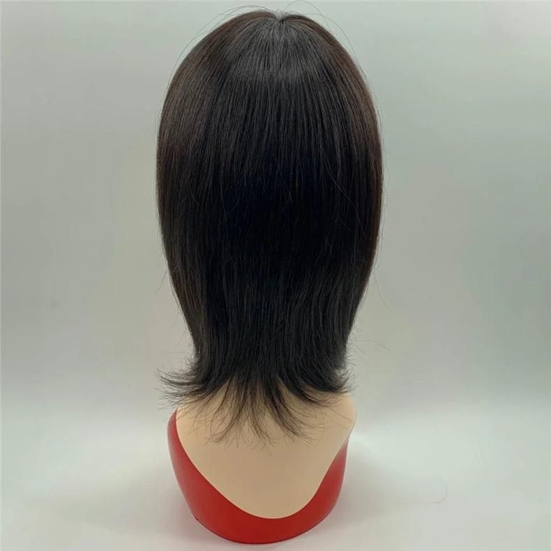 Cheap Short Princess Cut Indian Human Hair Wig