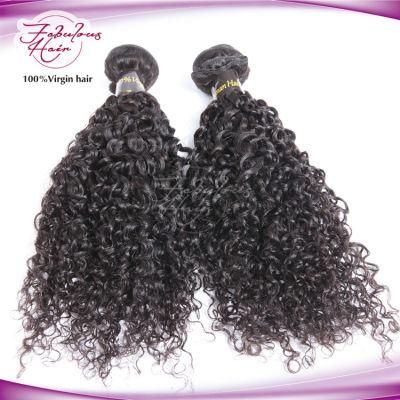 Best Price Brazilian 100 Natural Unprocessed Raw Virgin Curly Hair