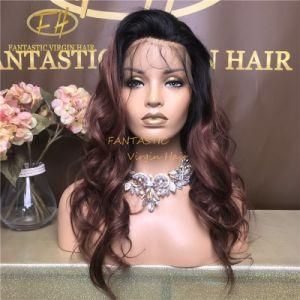 100% Brazilian/Indian Virgin/Remy Human Hair 360 Lace Frontal Wig with Amazing Color