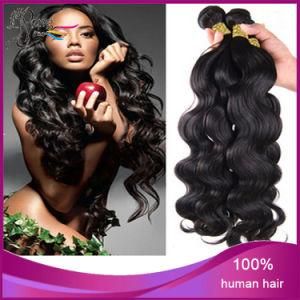 Good Quality 100% Indian Virgin Human Body Wave Human Hair