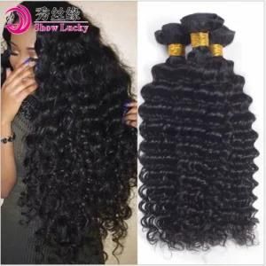 Popular Style 100% Brazilian Virgin Deep Wave Human Hair Weft Natural Black Remy Hair Products