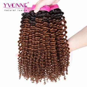 Yvonne Fashion Ombre Brazilian Kinky Curly Human Hair Extension Color T1b/4