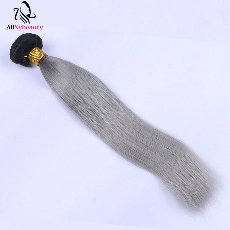 Alinybeauty Grey Color Unprocessed Brazilian Human Hair Extension