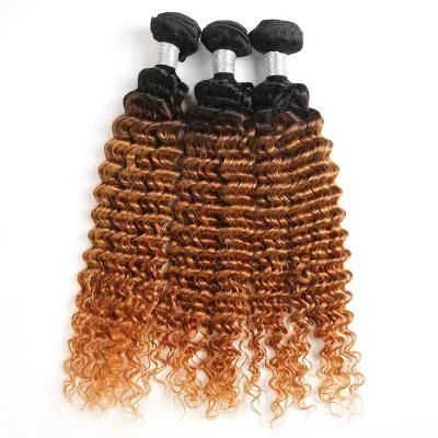 95g T1b/30 Curly Human Hair Bundles Brown/Golden Human Hair Bundles Double Drawn Hair Extension Brazilian Human Hair Bundles with 20&quot;