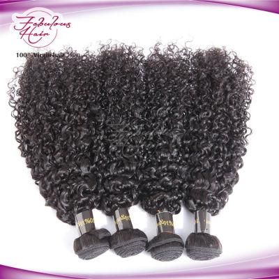 Hot Selling Curly Indian Human Hair Remy Virgin Hair