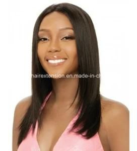 Brazilian Virgin Straight Human Hair Wig Full Lace Wig