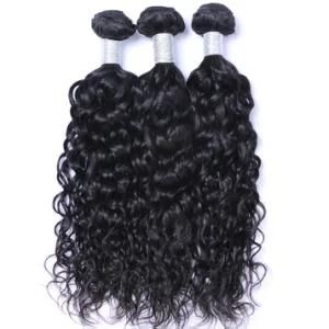 Peruvian Water Wave Bundles Human Hair