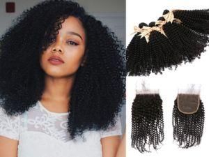 8A Eurasian Kinky Curl 100% Pure Hair Extension Natural Black Wholesale for Africans