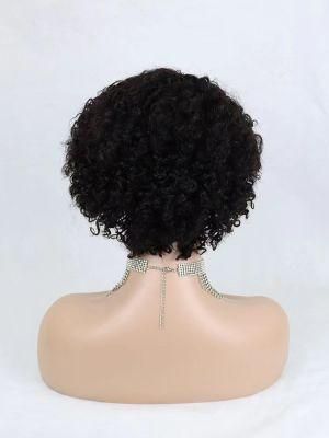 4X4 13X4 13X6 100% Brazilian HD Lace Front Human Hair Wigs