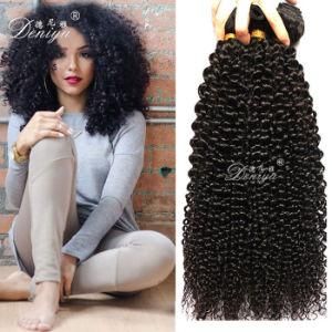 Fashion Kinky Curly Virgin Brzailian Human Hair Weft High Quality Hair Extension