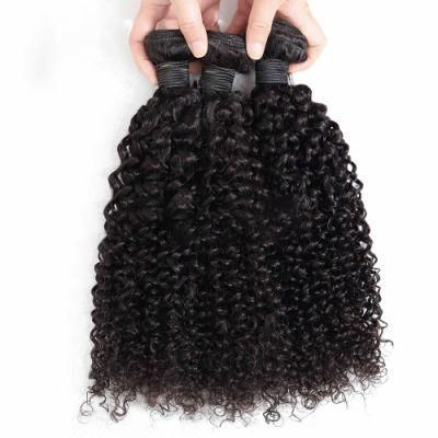 Wendyhair Cuticle Align Raw Hair Bundles Kinky Curly Hair