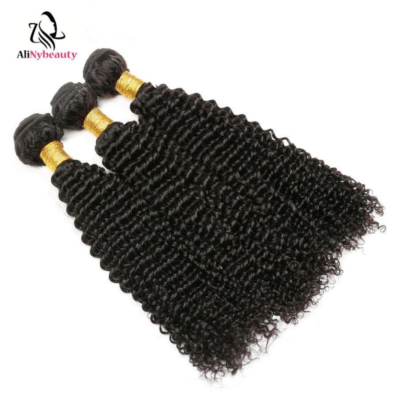 Wholesale Virgin Human Hair Extension Brazilian Virgin Hair Kinky Curly