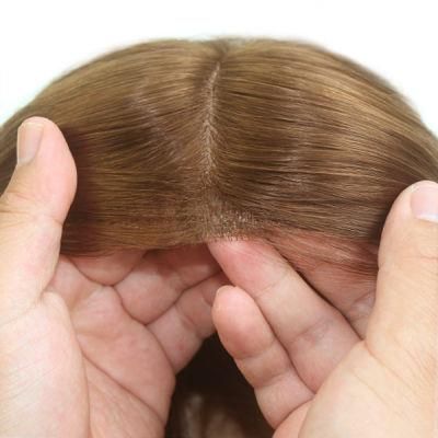 Indian Hair Silk Hair Replacement for Women with Clips