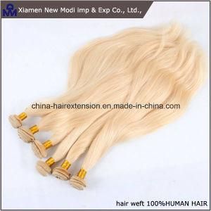 Chinese Virgin Human Hair Weft in Hair Extension