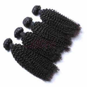 Brazilian Virgin Cuticle Hair Jerry Curl Brazilian Human Hair