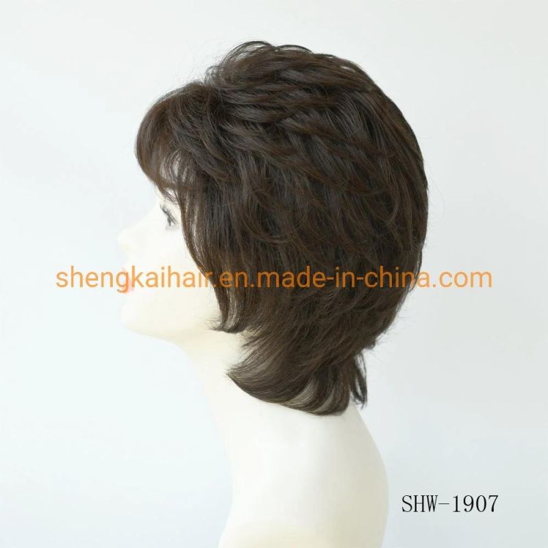 Wholesale Premium Quality Fashion Short Hair Length Full Handtied Human Hair Synthetic Hair Wig