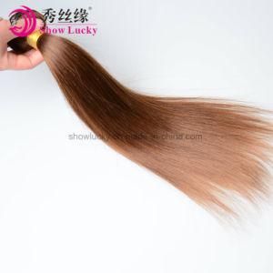 Cuticle Aligned Hair Factory Virgin European Human Hair Brown Color Silky Straight