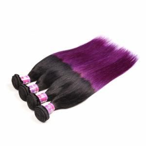 Brazilian Ombre Human Hair Bundles 1b/Purple Hair Extension Factory Wholesale Colored Hair Weave