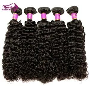 Morein Wet and Wavy Hair Bundle Water Wave Double Drawn Virgin Hair Extension