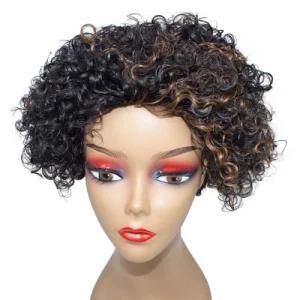 Wholesale Human Hair Braid Wig Brazilian Hair Virgin Kinky Curly Hair Lace Front Wig