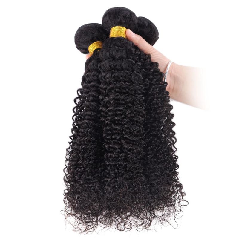 Kinky Curly Weave Human Hair Bundles Peruvian Curly Hair Extension