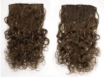 Clip in Hair Extension Virgin Remy Clip in Human Hair (AV-HW00-20)