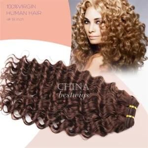 Hair Factory Quality Guaranteed 100% Human Virgin Remy Curly Human Hair