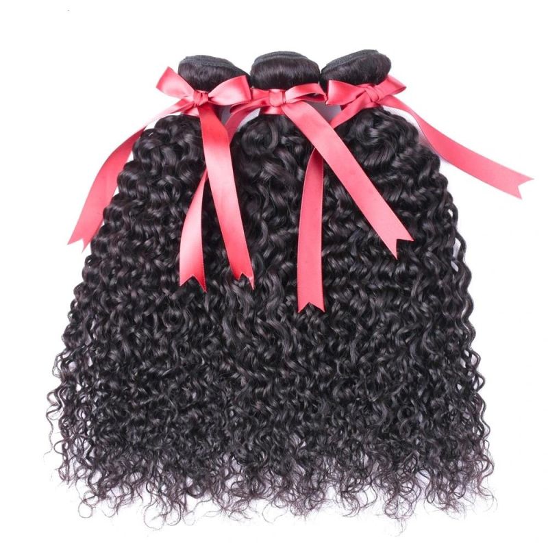 Wholesale Price Unprocessed Brazilian Virgin Human Hair Deep Curly Remy Hair Bundles with Closure
