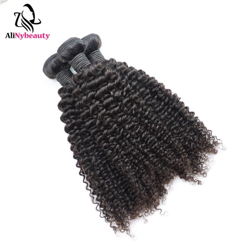 Alinybeauty Virgin Brazilian Cuticle Aligned Hair Kinky Curly Hair with HD Lace Closure Frontal, Indian Human Hair Extension Hot Products