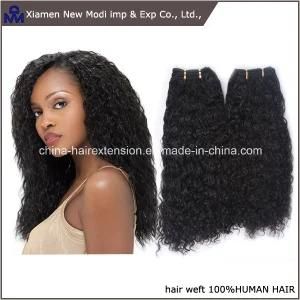 Curly Brazilian Remy Hair Human Hair Weave