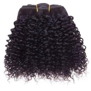 Kinky Curly Jet Black Clip in Human Hair Extensions