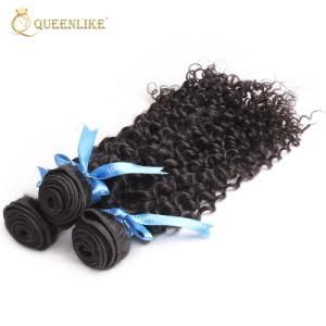 Cuticle Aligned Raw Indian Vendors Raw Human Hair Extension