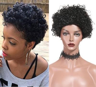 Human Hair Short Curly Wigs Black Afro Curly Wigs