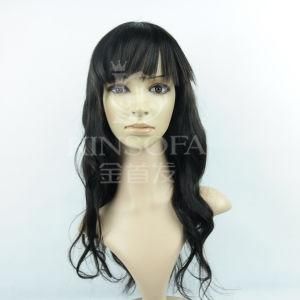 100 % Human Hair Machine Made Wig (Kinsofa 1010)
