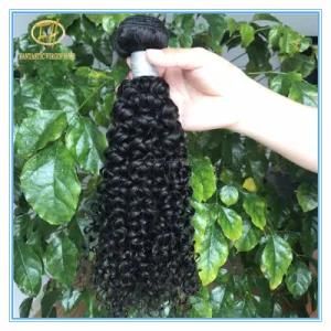 Top Quality Large Stock Natural Color Jerry Curly Brizilian Virgin Hair with Factory Price Wf-006