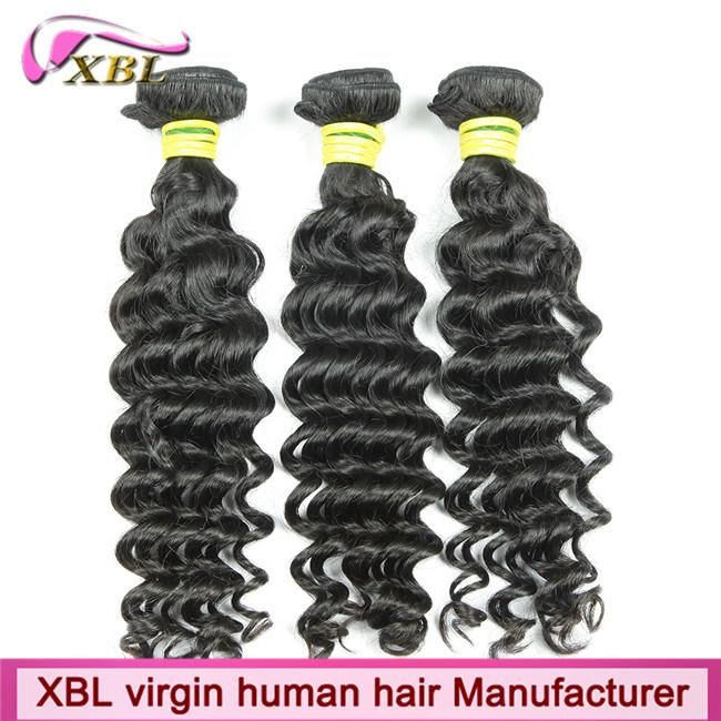 Double Drawn 100% Raw Virgin Human Hair Indian Hair Weft