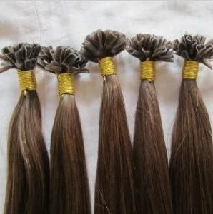 Top Quality U-Tip Hair Extension