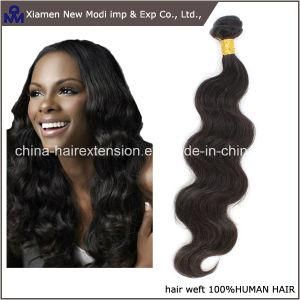 Brazilian Human Hair Remy Hair Extension Hair Weave