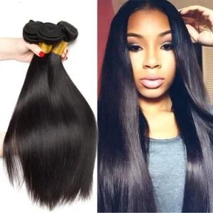 100% Human Hair Wholesale Price Virgin Brazilian Hair Bundles with Closure