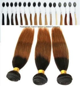 Aliexpress Peruvian Ombre Two Tone Straight Hair Weave