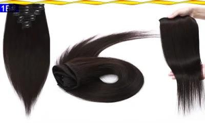 8PCS Clip in Human Hair Extensions 100% Real Machine Straight