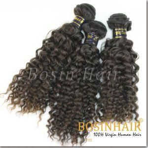 Aaaaa 100% Virgin Brazilian Hair Extension (Bx-D3001)