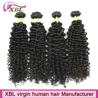 Long Lasting Virgin Cambodian Curly Human Hair